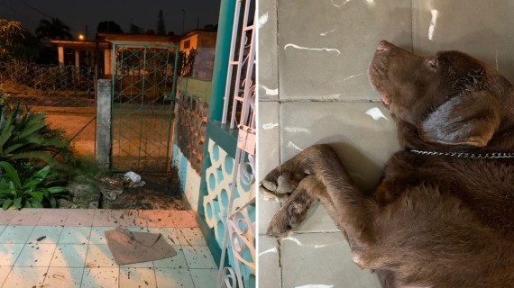 Lanzan fango a la casa de activista Saily González  La activista cubana agregó: "qué deshonra que este sea el contenido de trabajo de algunos cubanos… los peores, ya sabemos"