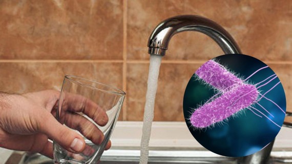 Pinar del Río: agua contaminada con bacterias Pinar del Río: agua contaminada con bacterias