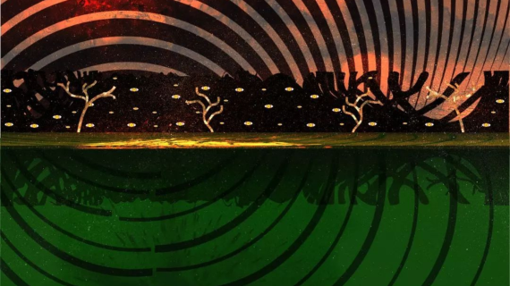 Abel Lescay busca financiamiento para su disco Grillos. Abel Lescay busca financiamiento para su disco Grillos.