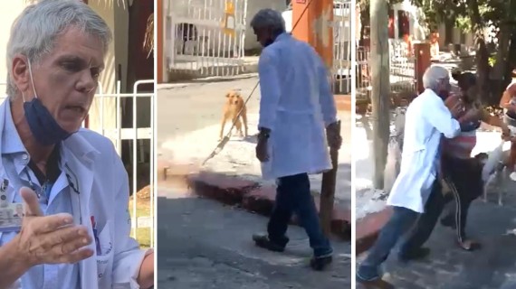 Médico que golpeó a perrita agredió a mujer Médico que golpeó a perrita agredió a mujer