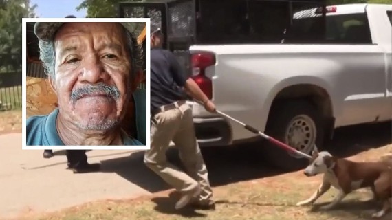 Freddy García murió atacado por 7 perros pitbull Freddy García murió atacado por 7 perros pitbull