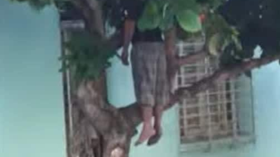 Usuarios en redes denuncian suicidio en Cuba  Usuarios en redes denuncian suicidio en Cuba
