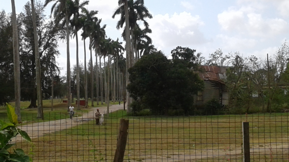 Vertientes de luto: asesinan a niña de siete años