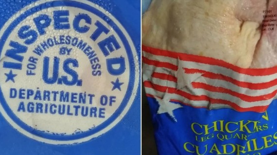 Pollo de EEUU | ADN Pollo de EEUU | ADN