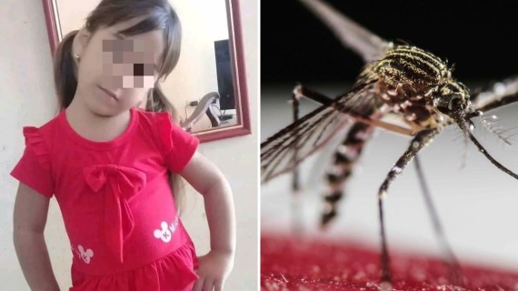 Reportan otra muerte de niña por dengue. Foto: Facebook/Yunia Álvarez y archivo