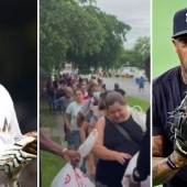 Peloteros cubanos de MLB donan comida en Miami