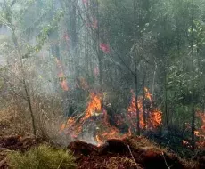 Incendio Forestal en Mayarí, Holguín
