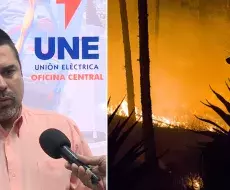 Lázaro Guerra, director técnico de la UNE
