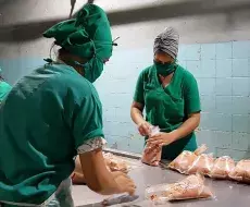 Las tripas son empleadas para la producción de alimentos en Cuba