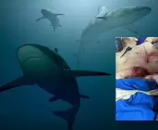 Ataque de Tiburón en Artemisa, Cuba.