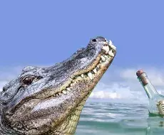 Carta de un cocodrilo cubano a su abuelo en los Everglades.