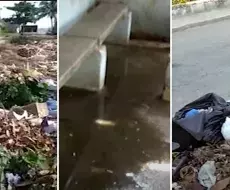 Jaimanitas en la basura