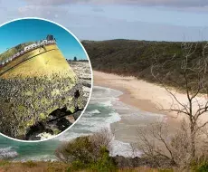 Aparece extraño objeto no identificado en playa de Australia; sus orígenes son desconocidos