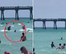 VIDEO: Aterrador momento en que tiburón sorprende a bañistas en playa de Florida