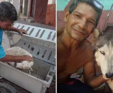 Animalista cubano detenido.