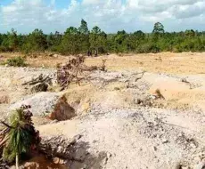 Fiebre del oro en Baraguá
