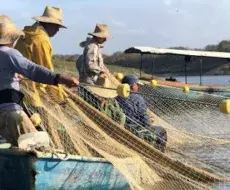 Pescadores en Cuba