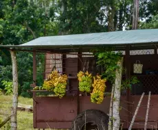 Punto de venta en autopista de Pinar del Río