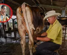 Gobernador de Camagüey apela a la vergüenza para resolver incumplimientos en entrega de leche