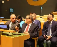 Régimen cubano pierde apoyo en la Asamblea General de las Naciones Unidas