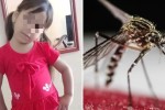 Reportan otra muerte de niña por dengue. Foto: Facebook/Yunia Álvarez y archivo