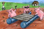 Los cerdos ven cómo crece su autoestima por el precio de su carne