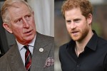 ¡Estos son los "incentivos" que el rey Carlos ofrecería al príncipe Harry para asistir a la Coronación!